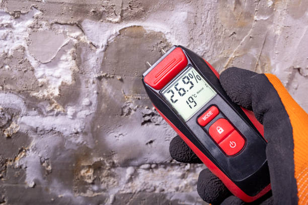 Water Damage Restoration in Pine Beach, NJ